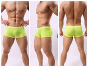 Striped Transparent Boxers For Men 6