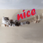 Wall cat furniture pine wall hanging 2