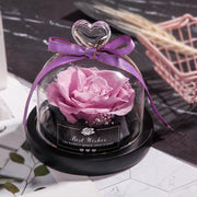 Valentine's Day Christmas Dried Flowers Wedding Gifts Dried Flowers Eternal Real Rose Home Decoration With LED In Glass