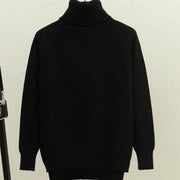 Turtleneck Women Sweater Winter Warm Female Jumper