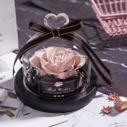 Valentine's Day Christmas Dried Flowers Wedding Gifts Dried Flowers Eternal Real Rose Home Decoration With LED In Glass