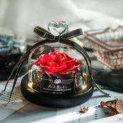 Valentine's Day Christmas Dried Flowers Wedding Gifts Dried Flowers Eternal Real Rose Home Decoration With LED In Glass