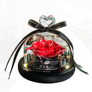 Valentine's Day Christmas Dried Flowers Wedding Gifts Dried Flowers Eternal Real Rose Home Decoration With LED In Glass