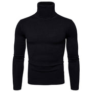 Winter Warm Basic Thermal Turtleneck Sweater Men's Solid Color Slim Fit Clothes Pullover Top