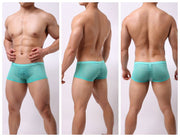 Striped Transparent Boxers For Men 8