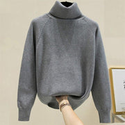 Turtleneck Women Sweater Winter Warm Female Jumper