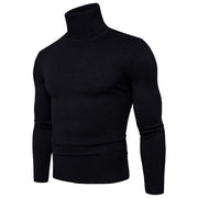 Winter Warm Basic Thermal Turtleneck Sweater Men's Solid Color Slim Fit Clothes Pullover Top