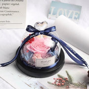 Valentine's Day Christmas Dried Flowers Wedding Gifts Dried Flowers Eternal Real Rose Home Decoration With LED In Glass