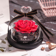 Valentine's Day Christmas Dried Flowers Wedding Gifts Dried Flowers Eternal Real Rose Home Decoration With LED In Glass