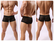 Striped Transparent Boxers For Men 2