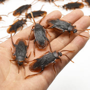 Halloween Simulation Cockroach Tidy Funny Disgusting Scary Toys