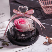 Valentine's Day Christmas Dried Flowers Wedding Gifts Dried Flowers Eternal Real Rose Home Decoration With LED In Glass