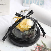 Valentine's Day Christmas Dried Flowers Wedding Gifts Dried Flowers Eternal Real Rose Home Decoration With LED In Glass