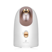 Hot and cold face steamer