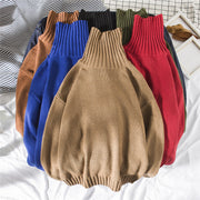 Autumn and winter turtleneck sweaters 5