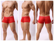 Striped Transparent Boxers For Men3