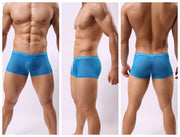 Striped Transparent Boxers For Men 1